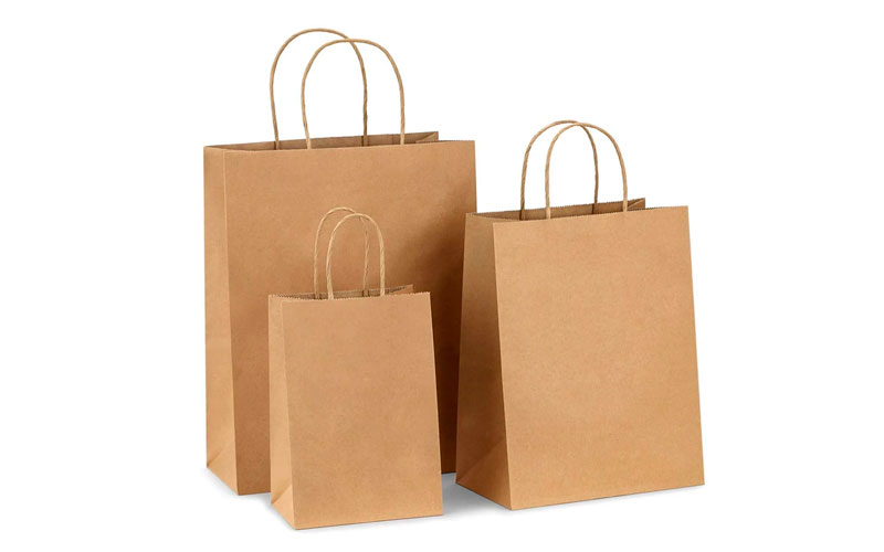 Paper Carry Bag